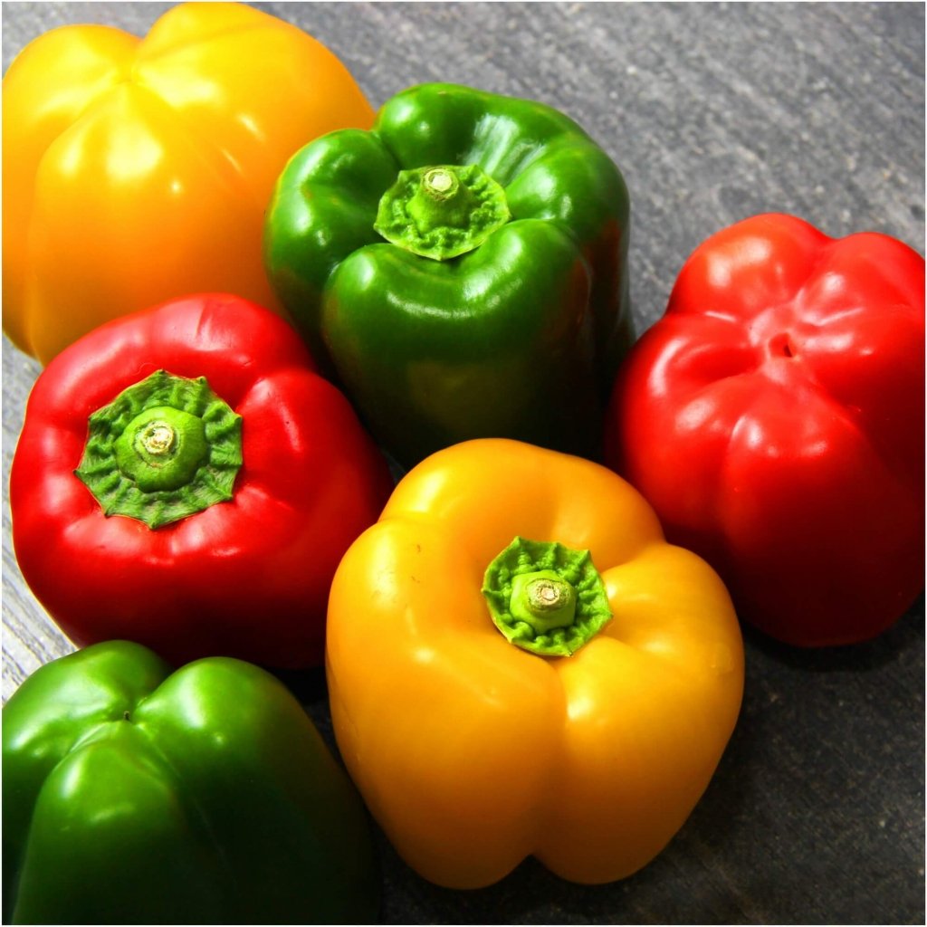 Capsicum colours store