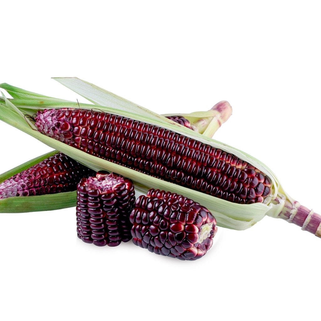 Buy Corn - Popcorn Mini Strawberry seeds Online | Happy Valley Seeds