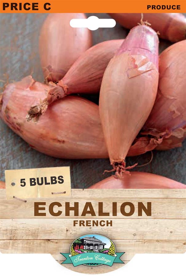 French Echalion (Pack of 5) - Happy Valley Seeds