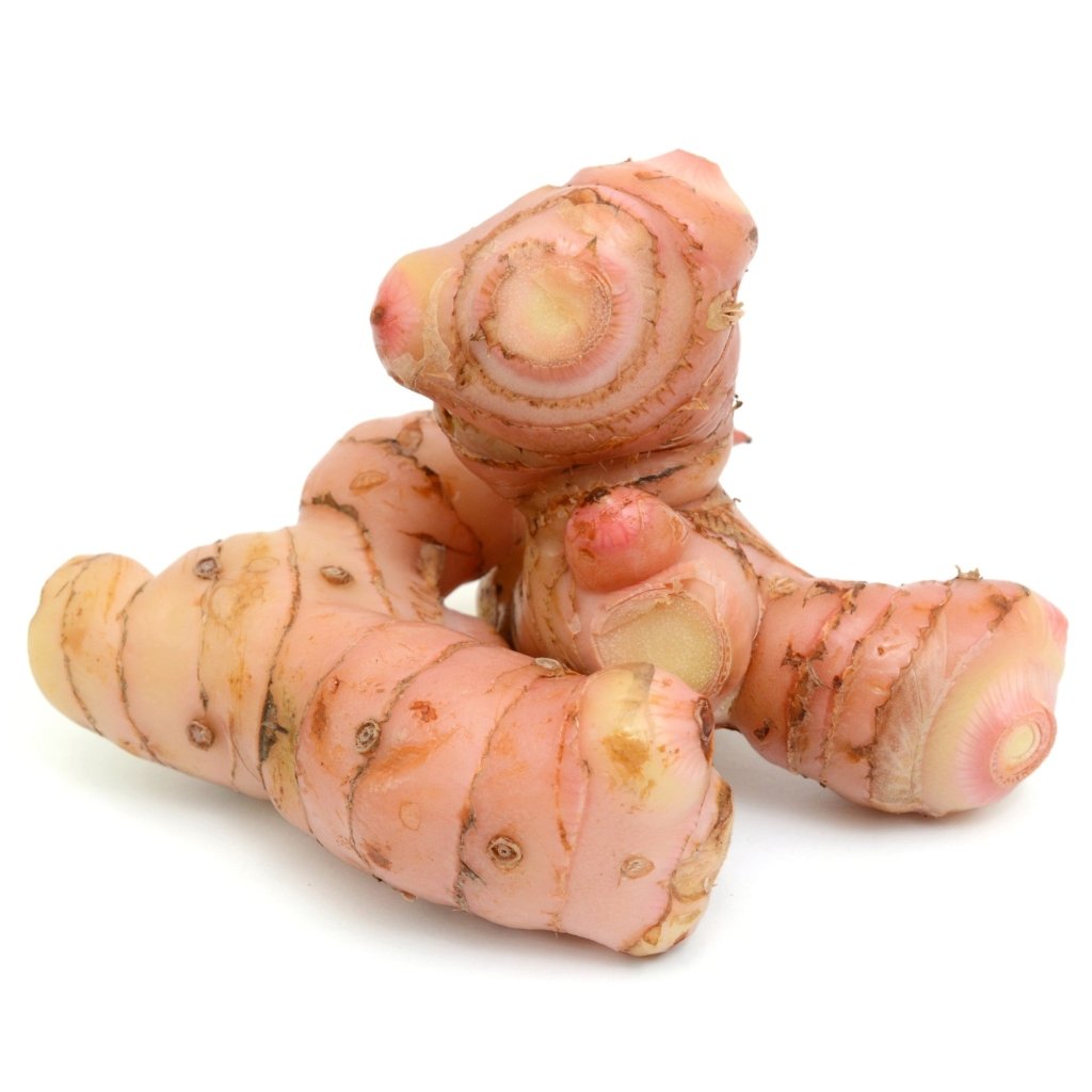 Galangal Lesser Rhizome - Happy Valley Seeds