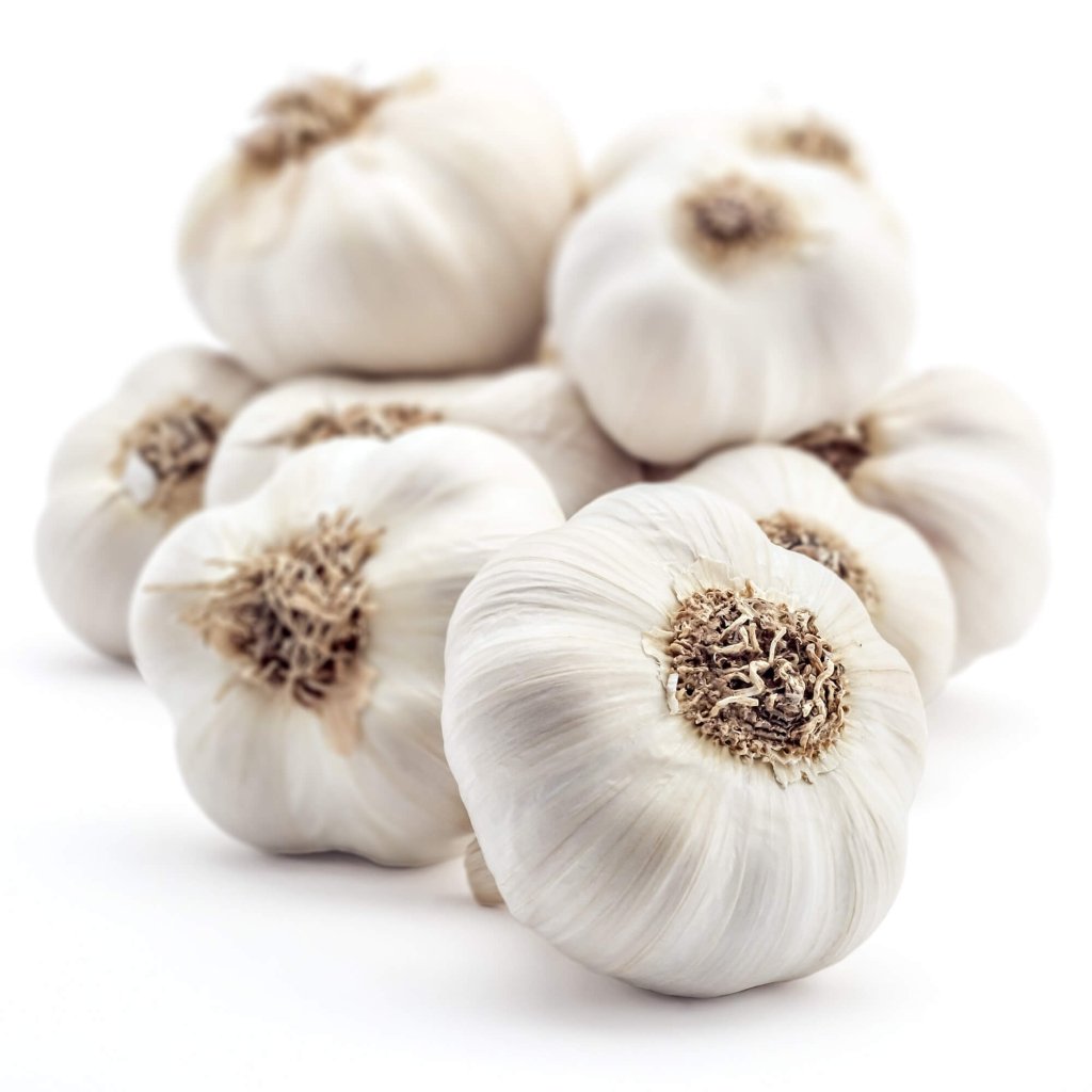 Garlic - Conventional - Happy Valley Seeds