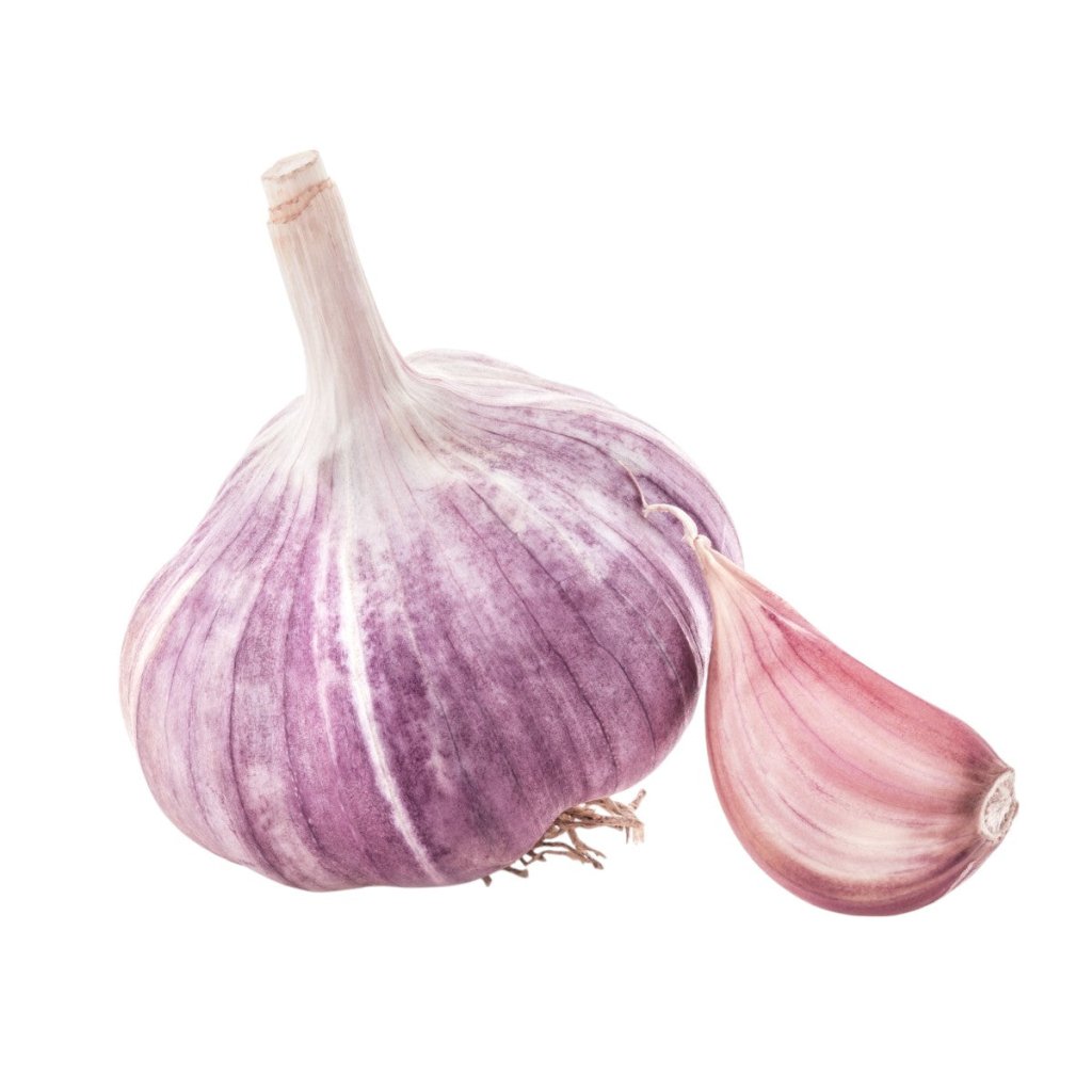 Garlic - New Zealand Purple (2 Bulbs) - Happy Valley Seeds