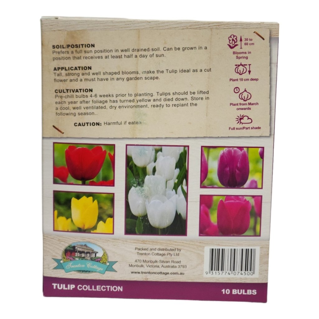 Gift Box - Tulip Collection (Pack of 10 Bulbs) - Happy Valley Seeds