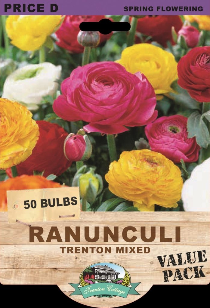 Ranunculi Trenton Mixed (Pack of 50 Bulbs) - Happy Valley Seeds