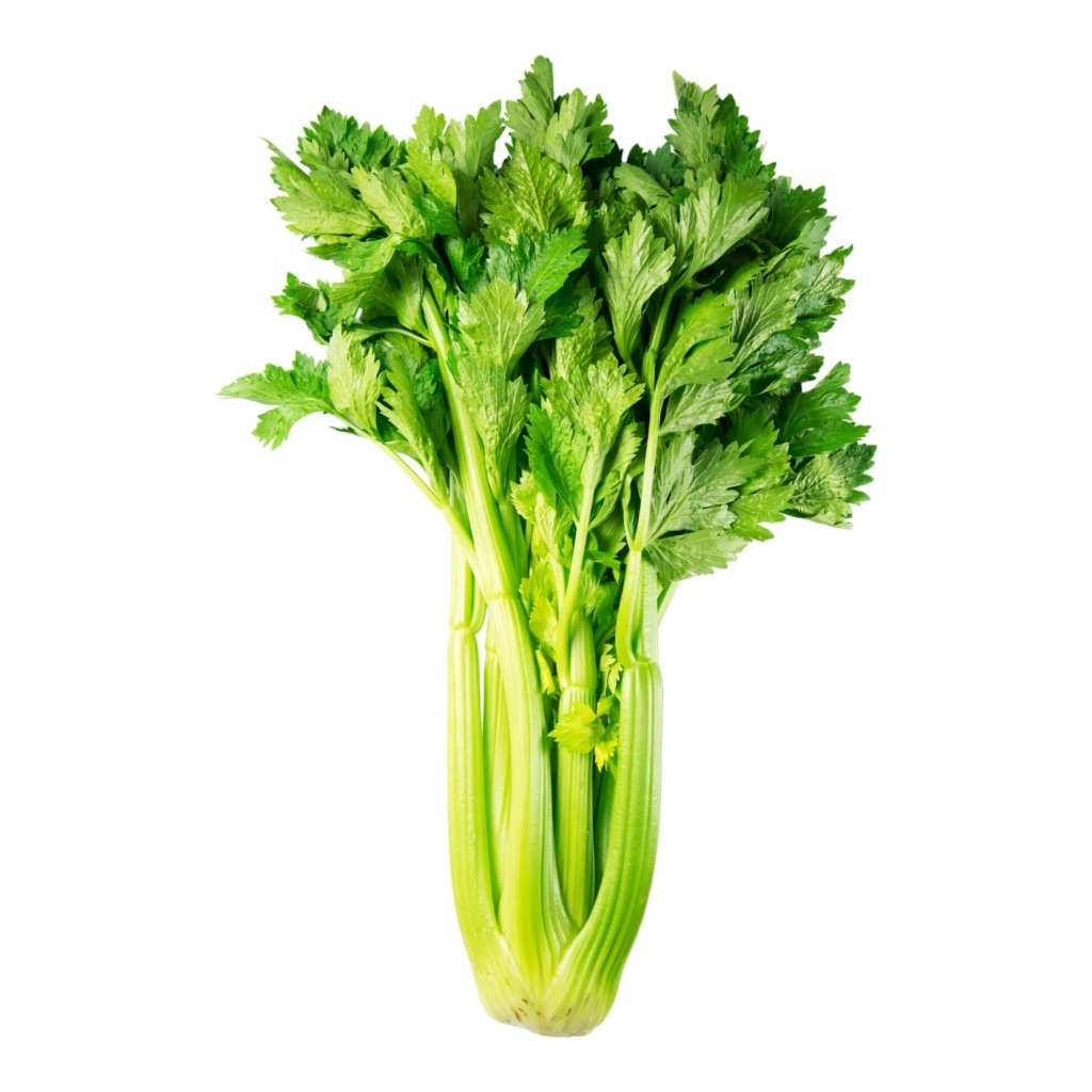 Buy Celery seeds Online | Happy Valley Seeds