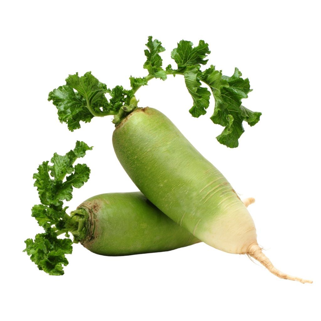 Green Radish